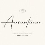 Aurantiaca Signature Font - Featured Image
