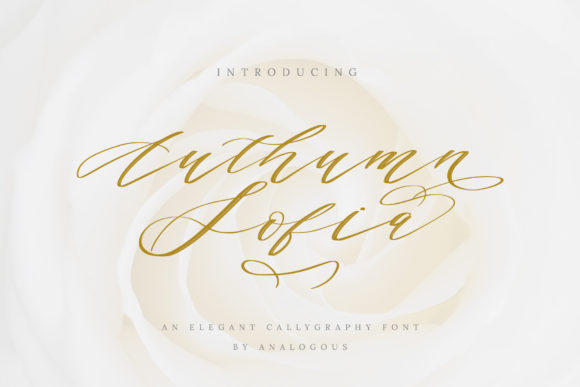 Authumn Sofia Font - Featured Image