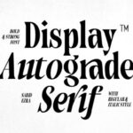 Autograde - Strong Bold Serif Font - Featured Image