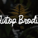 Autop Brodir Font - Featured Image