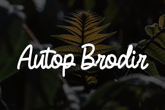 Autop Brodir Font - Featured Image