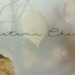 Autumn Chant Font - Featured Image