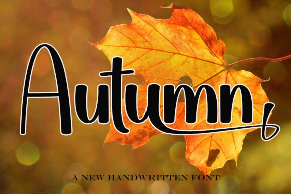 Autumn Font - Featured Image