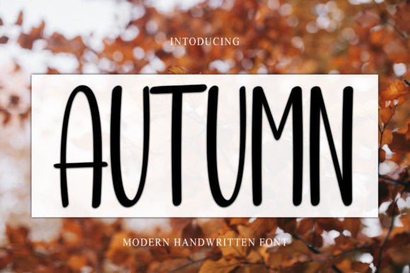 Autumn Font - Featured Image