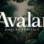Avalar Font - Featured Image