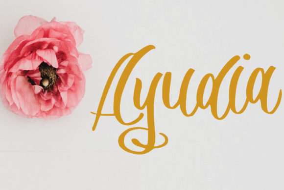 Ayudia Font - Featured Image