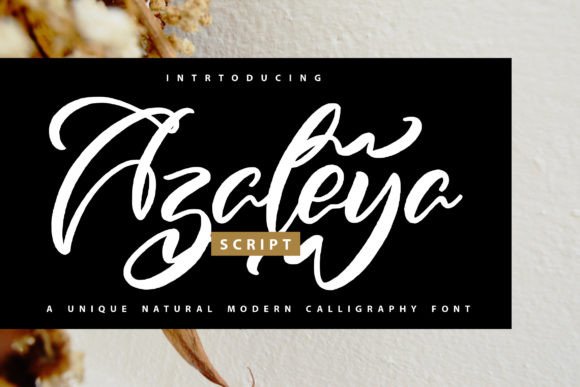 Azaleya Font - Featured Image