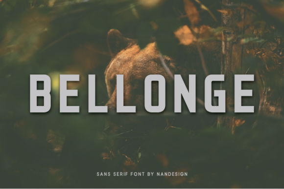Bellonge Font - Featured Image