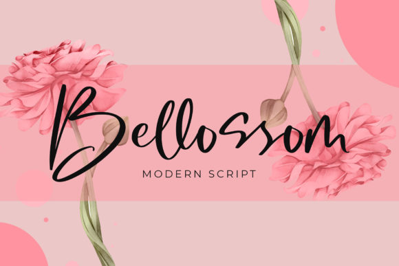 Bellossom Font - Featured Image