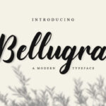 Bellugra Font - Featured Image