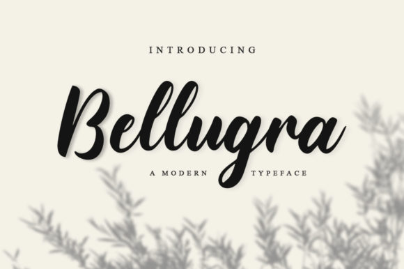 Bellugra Font - Featured Image