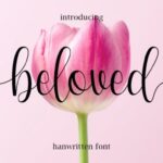 Beloved Font - Featured Image