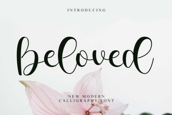 Beloved Font - Featured Image