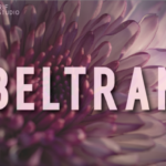 Beltran Font - Featured Image