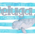 Beluga Font - Featured Image