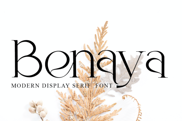 Benaya Font - Featured Image