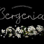 Bergenia Font - Featured Image