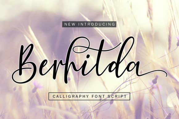Berhilda Font - Featured Image