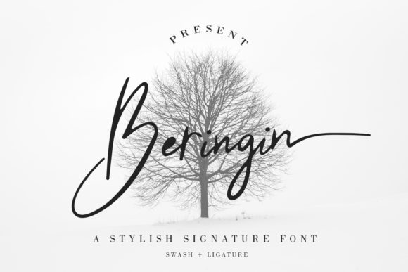 Beringin Font - Featured Image