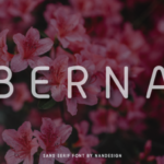 Berna Font - Featured Image