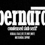 Bernard Font - Featured Image