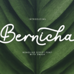 Bernicha Font - Featured Image