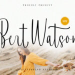 Bert Watson Font - Featured Image