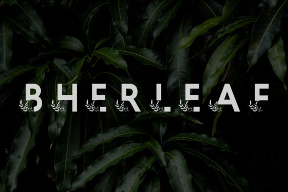 Bherleaf Font - Featured Image