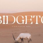 Bidgeto Font - Featured Image