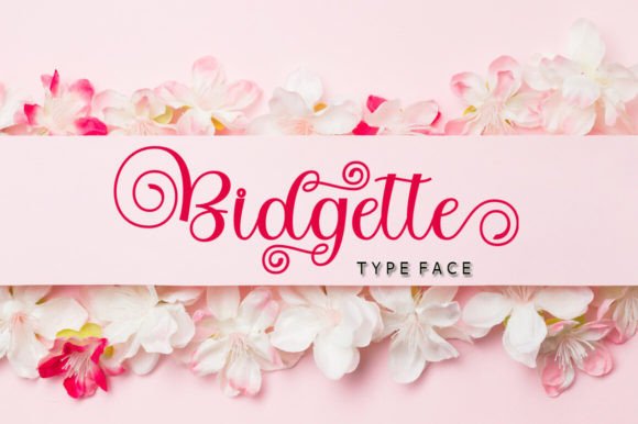 Bidgette Font - Featured Image