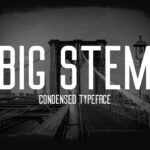 Big Stem Font - Featured Image