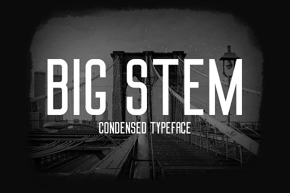 Big Stem Font - Featured Image