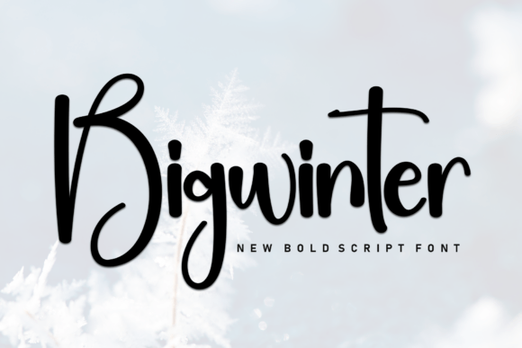 Bigwinter Font - Featured Image