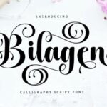 Bilagen Font - Featured Image