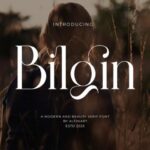 Bilgin Font - Featured Image