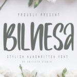 Bilnesa Font - Featured Image