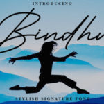 Bindhu Font - Featured Image