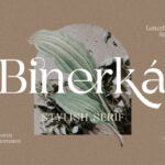 Binerka Font - Featured Image