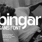 Bingar Font - Featured Image