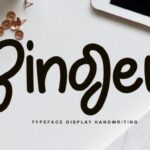 Binger Font - Featured Image