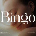 Bingo Font - Featured Image