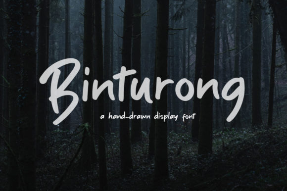 Binturong Font - Featured Image