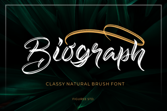 Biograph Font - Featured Image