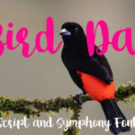 Bird Day Font - Featured Image