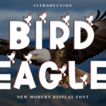 Bird Eagle Font - Featured Image