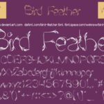 Bird Feather Font - Featured Image