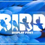 Bird Font - Featured Image