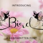 Bird Font - Featured Image