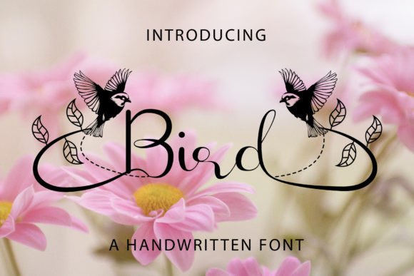 Bird Font - Featured Image