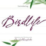 Bird Life Font - Featured Image